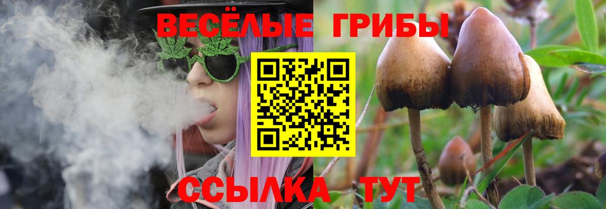 Галлюциногенные грибы мицелий  Галлюциногенные грибы мухоморы  Вход с VPN  Фролово 