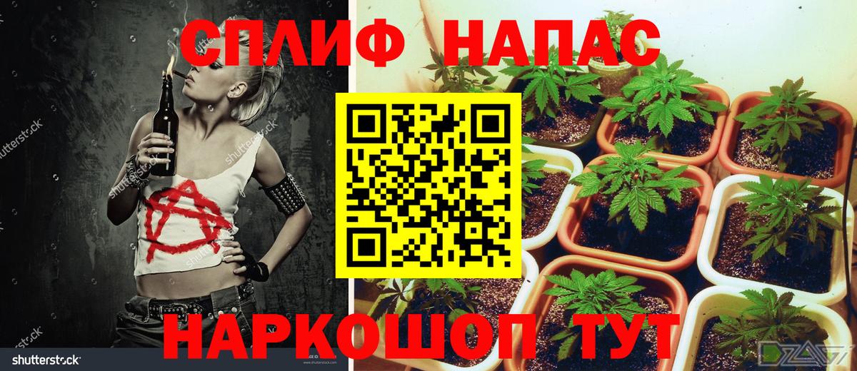 Бошки марихуана OG Kush Фролово